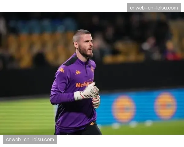 官方确认:佛罗伦萨主力门将因肩部手术赛季报销